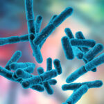 Bactéries probiotiques — microbiome intestinal