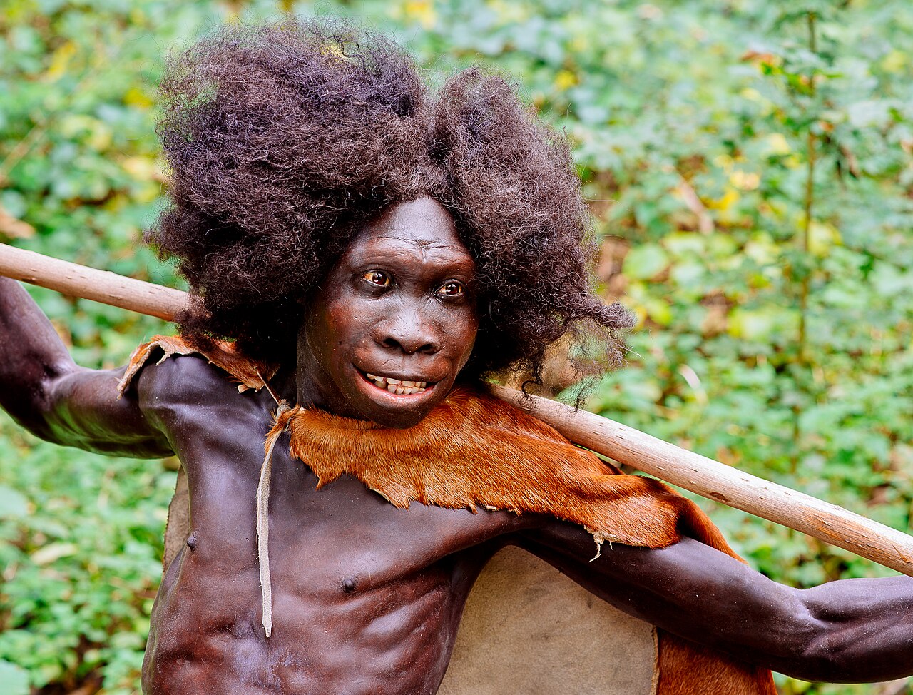 Reconstruction d’un Homo erectus, le garçon de Turkana