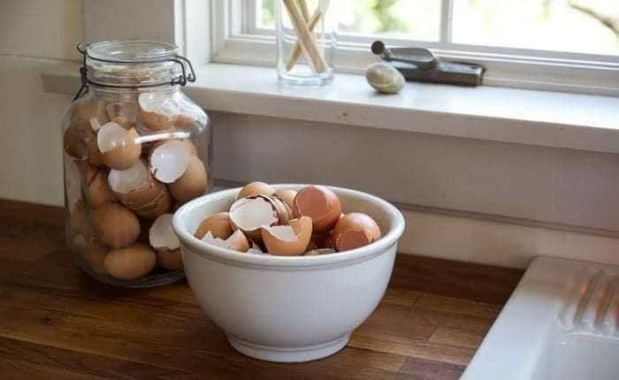 Très intéressant, moi qui jetais mes coquilles d&rsquo;oeufs inutilement comme tout le monde.