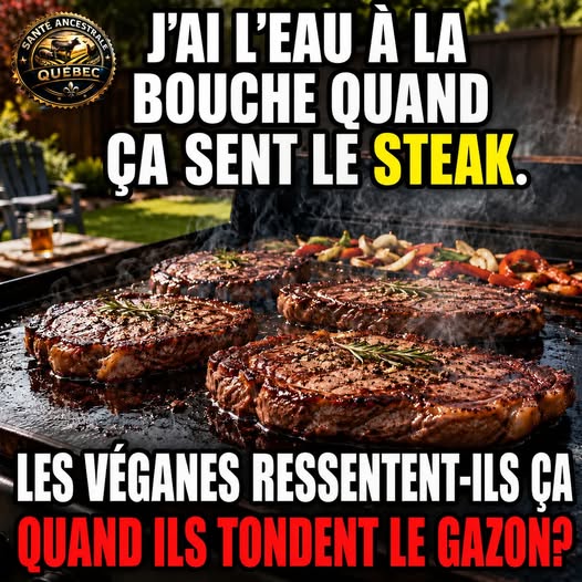 C&rsquo;est chien mais c&rsquo;est légal comme on dit? 🤣😂