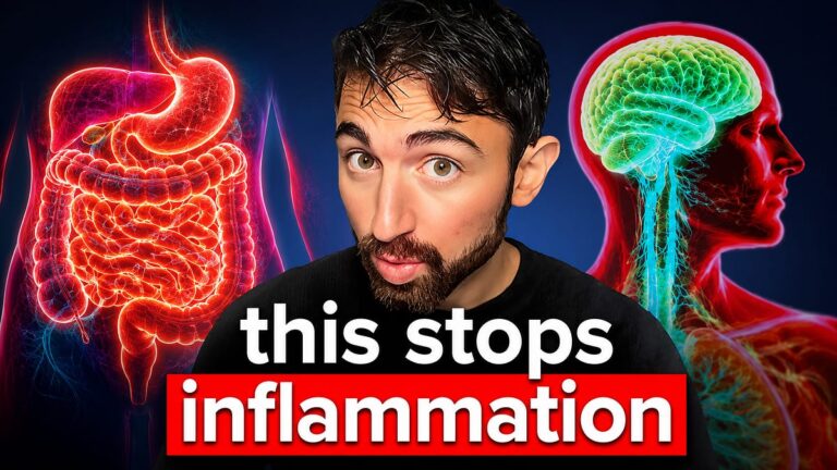 ET SI LE CERVEAU POUVAIT RÉELLEMENT METTRE UN FREIN À L’INFLAMMATION?