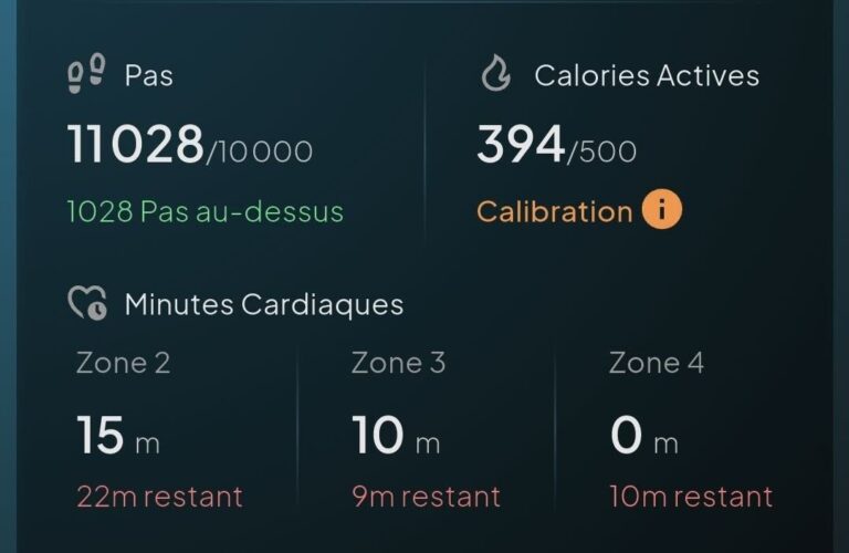 C&rsquo;est quand même intéressant de constater qu&rsquo;en marchant avec 12 % d&rsquo;inclinaison pendant 25 minutes, j&rsquo;ai atteint la zone 2 (60-70 %) et la zone 3 (70-80 %) cardiovasculaire. Pour atteindre 11 000 pas, j&rsquo;ai également marché dehors pendant une heure.