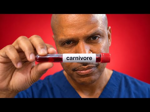 VOTRE BILAN SANGUIN EN CARNIVORE : COMMENT LE LIRE SANS PANIQUER